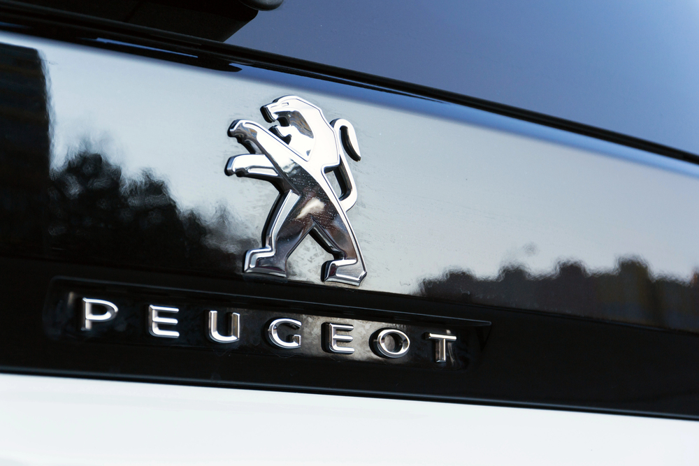 סיקור PEUGEOT מודל e-208 שנת 2023